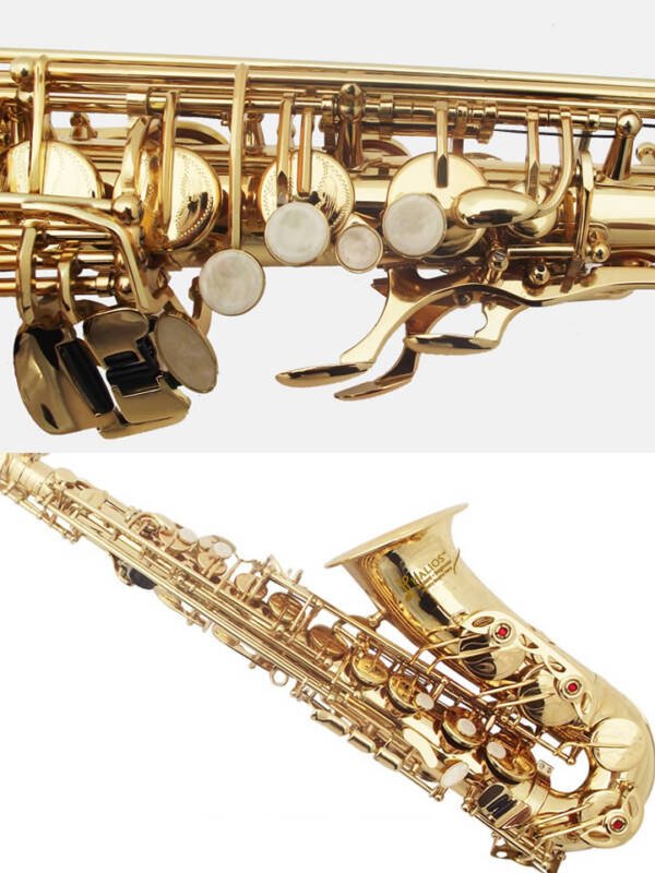 Saxofon Alto Halios serie 1 H-A200 Gold - Imagen 4