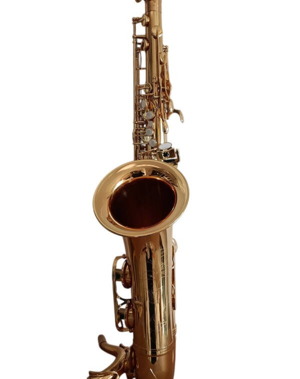 Saxofon Alto Halios Serie 3 profesional HA87 Gold - Imagen 2