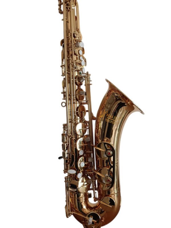Saxofon Alto Halios Serie 3 profesional HA87 Gold