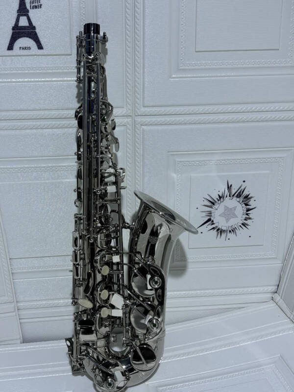 Saxofon Alto Halios Serie 1 H-A200 Silver plata