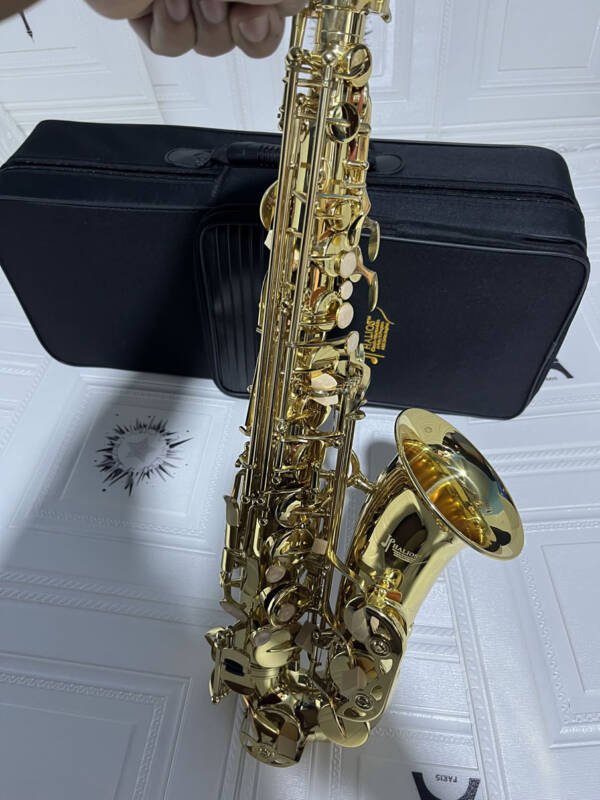 Saxofon Alto Halios Serie 2 A802 Gold