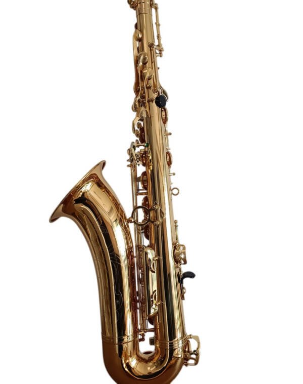 Saxofon Alto Halios Serie 3 profesional HA87 Gold - Imagen 3