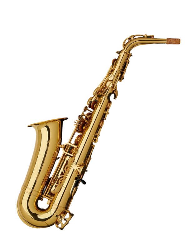 Saxofon Alto Prosesional Halios HSA87 Serie H3 - Imagen 3