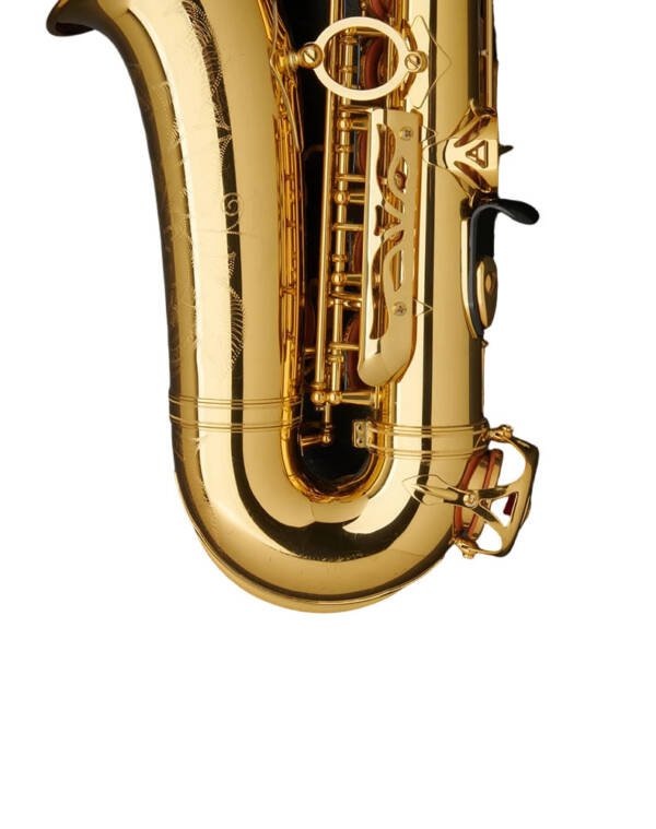Saxofon Alto Prosesional Halios HSA87 Serie H3 - Imagen 4