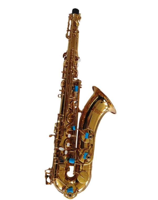 Saxofon Alto Prosesional Halios HSA87 Serie H3