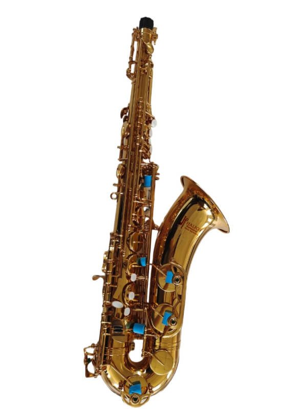 Saxofon Alto Prosesional Halios HSA87 Serie H3