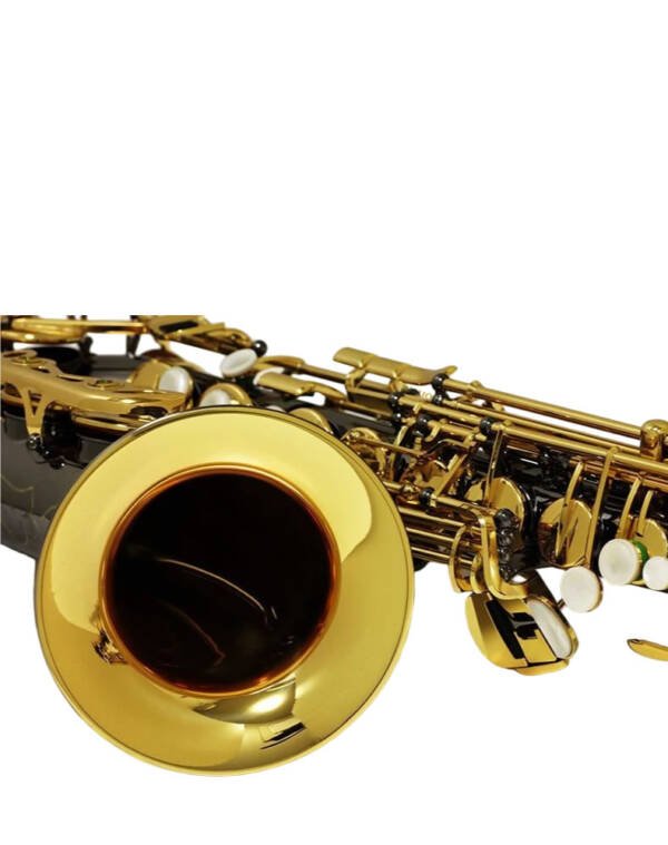Saxofon Alto profesional Halios SA09K Serie H3 - Imagen 2