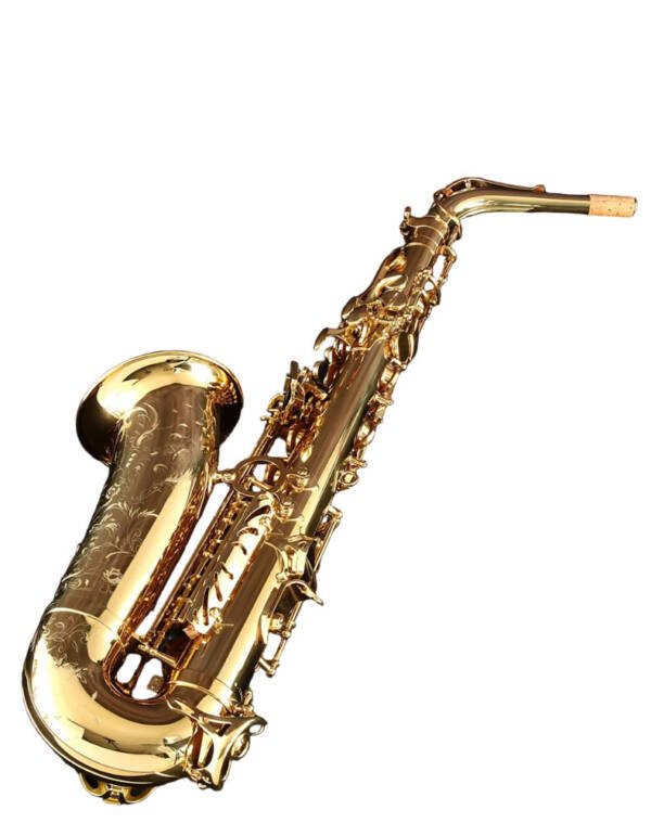 Saxofon Alto Proesional Halios SA803 Serie H3 - Imagen 2