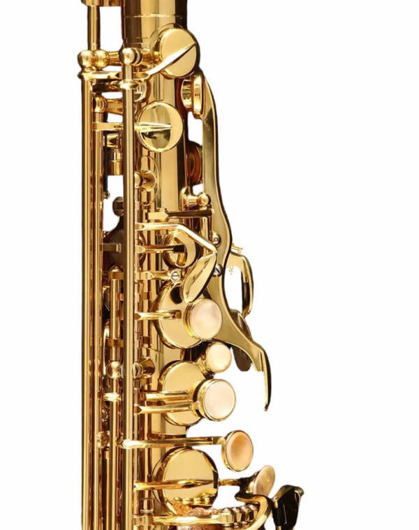 Saxofon Alto Proesional Halios SA803 Serie H3 - Imagen 3